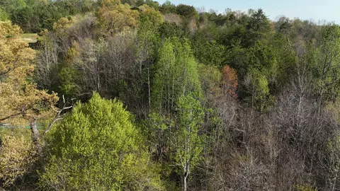 0 County Road 675, Athens, TN 37303