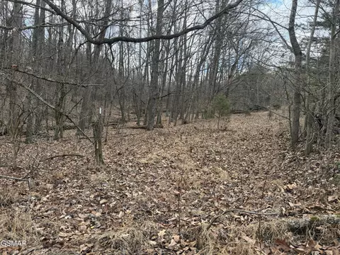4 Pilgrim Rd, Dandridge, TN 37725
