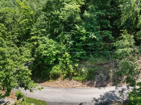 6 Wildcat Ridge Rd, Sevierville, TN 37862