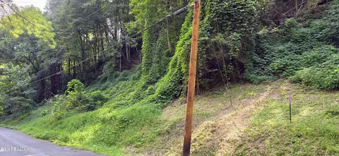39 Black Walnut Flats Rd, Sevierville, TN 37862