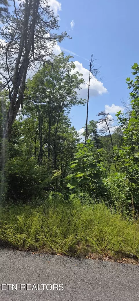 14 Sugar Maple Loop Rd, Sevierville, TN 37862 photo 4