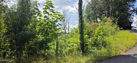 14 Sugar Maple Loop Rd, Sevierville, TN 37862 photo 2