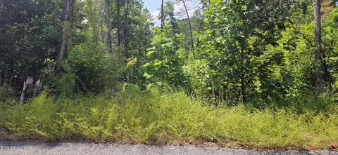 14 Sugar Maple Loop Rd, Sevierville, TN 37862 photo 3