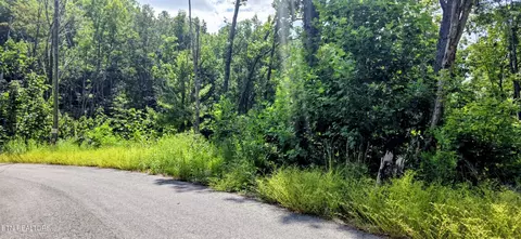 14 Sugar Maple Loop Rd, Sevierville, TN 37862 photo 5