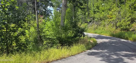 14 Sugar Maple Loop Rd, Sevierville, TN 37862 photo 6