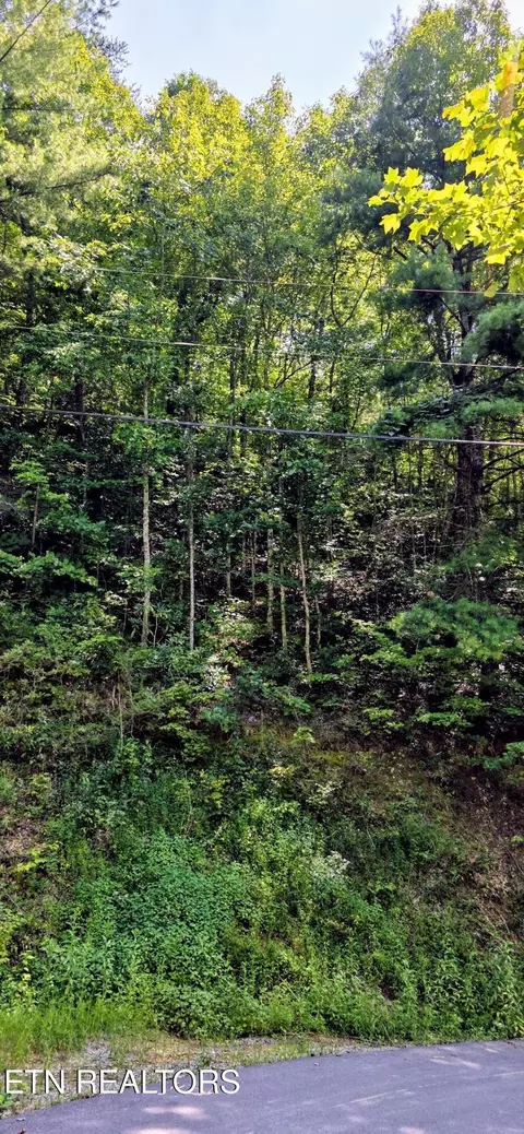 24 Sugar Maple Loop Rd, Sevierville, TN 37862 photo 6