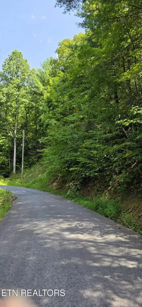 24 Sugar Maple Loop Rd, Sevierville, TN 37862 photo 2
