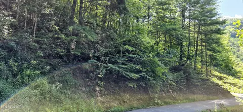 24 Sugar Maple Loop Rd, Sevierville, TN 37862 photo 4