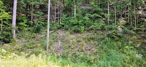 24 Sugar Maple Loop Rd, Sevierville, TN 37862 photo 5