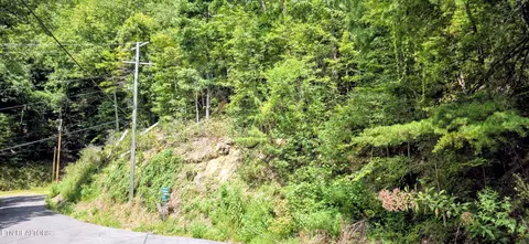 1 Black Walnut Flats Rd, Sevierville, TN 37862
