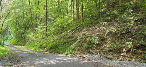 25 Black Walnut Flats Rd, Sevierville, TN 37862