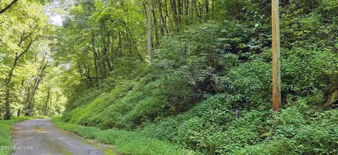 29 Black Walnut Flats Rd, Sevierville, TN 37862