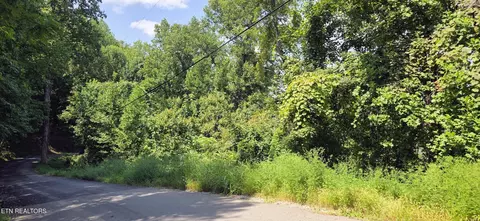 28 Sugar Maple Loop Rd, Sevierville, TN 37862 photo 5