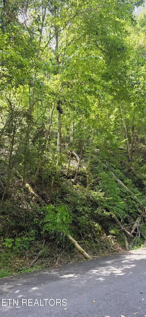 5 Sugar Maple Loop Rd, Sevierville, TN 37862 photo 6