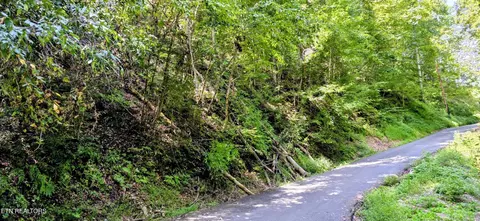 5 Sugar Maple Loop Rd, Sevierville, TN 37862 photo 29