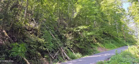 5 Sugar Maple Loop Rd, Sevierville, TN 37862 photo 4