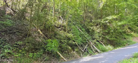 5 Sugar Maple Loop Rd, Sevierville, TN 37862 photo 3
