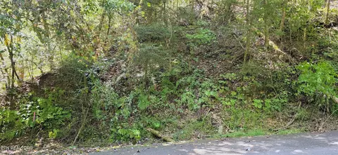 5 Sugar Maple Loop Rd, Sevierville, TN 37862 photo 5