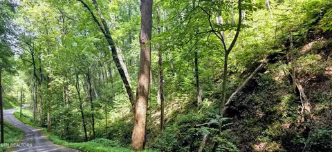 15 Emerald Springs Loop, Sevierville, TN 37862
