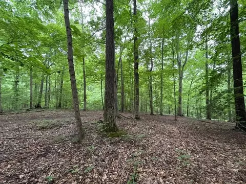 0 Knox Ln, Clarksville, TN 37040