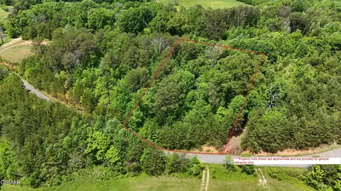 12 Mcgaha Chapel Rd, Cosby, TN 37722