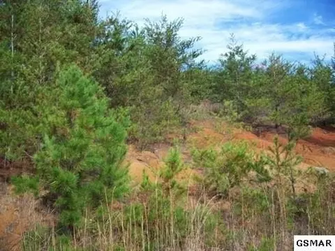 14 Mcgaha Chapel Rd, Cosby, TN 37722