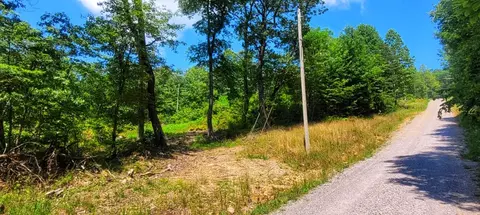 521 Browns Holler Rd, Spring City, TN 37381