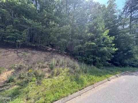 155 Bear Valley Rd, Sevierville, TN 37876