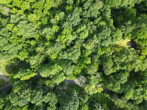 22 Canyon Hls, Seymour, TN 37865