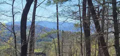 37 Chinquapin, Sevierville, TN 37876