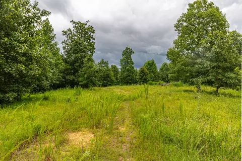 210 Loveman Ln, Hampshire, TN 38461