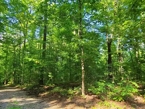 9 Walden Flats Way, Sevierville, TN 37862