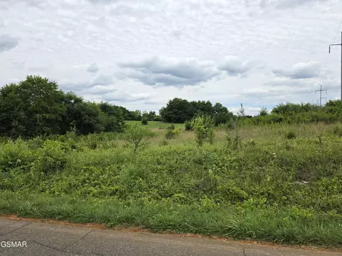 18 Baker Springs Rd, White Pine, TN 37890