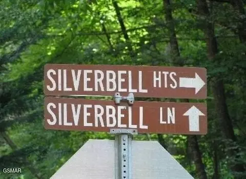 329 Silverbell Ln, Gatlinburg, TN 37738