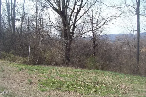 142 Low Valley Rd, Dandridge, TN 37725