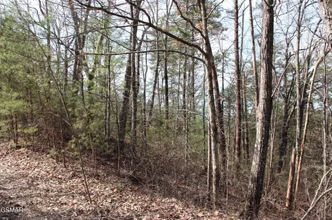 19 Ridge View Dr, Sevierville, TN 37876