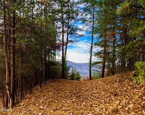 12 Stackstone Rd, Sevierville, TN 37862 photo 8