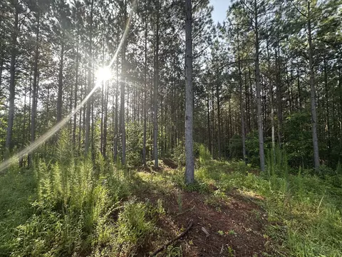 153 Beach Rd, Hohenwald, TN 38462