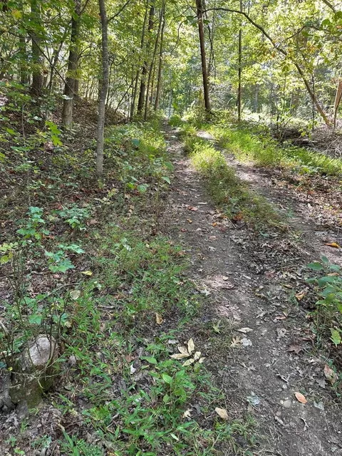 412 Smith Rd, Spring City, TN 37381 photo 4