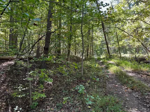 412 Smith Rd, Spring City, TN 37381 photo 2