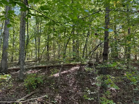 412 Smith Rd, Spring City, TN 37381 photo 3