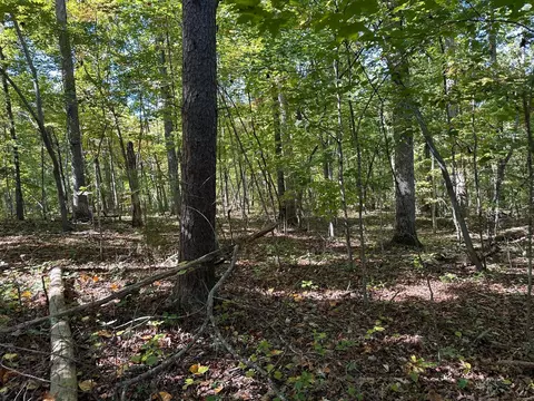 351354 Diana Dr, Spring City, TN 37381