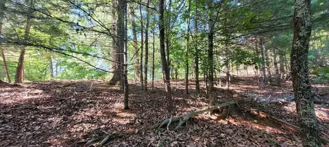 123 Dogwood Ct, Spring City, TN 37381