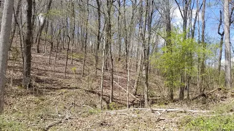 286 Maple Dr, Spring City, TN 37381