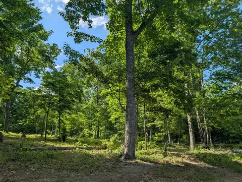 9495 Red Oak Ln, Spring City, TN 37381
