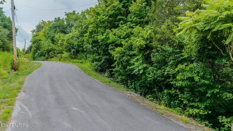 35 Fishtail Cv, Dandridge, TN 37725