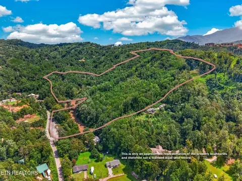 264 Beech Branch Rd, Gatlinburg, TN 37738