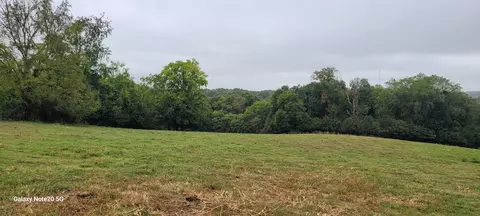 11 Beasley Rd, Chapel Hill, TN 37034