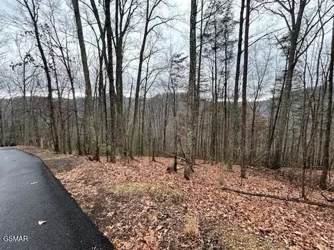 3 Hatcher Top Rd, Sevierville, TN 37862