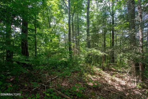 13 High Top Loop, Sevierville, TN 37862 photo 6